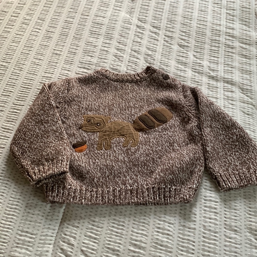 Gymboree Baby sweater
